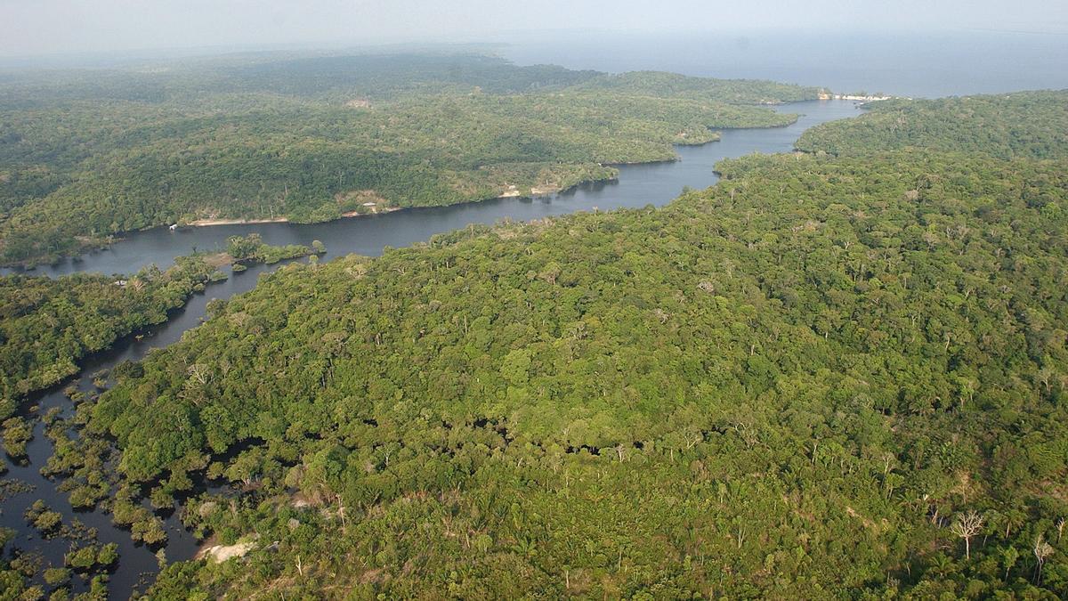 El futuro de la Amazonia se juega en las elecciones de Brasil