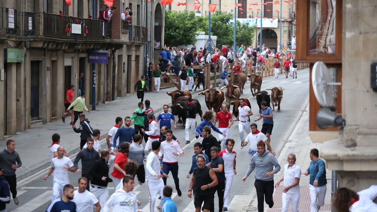 Cuarto encierro de Tafalla