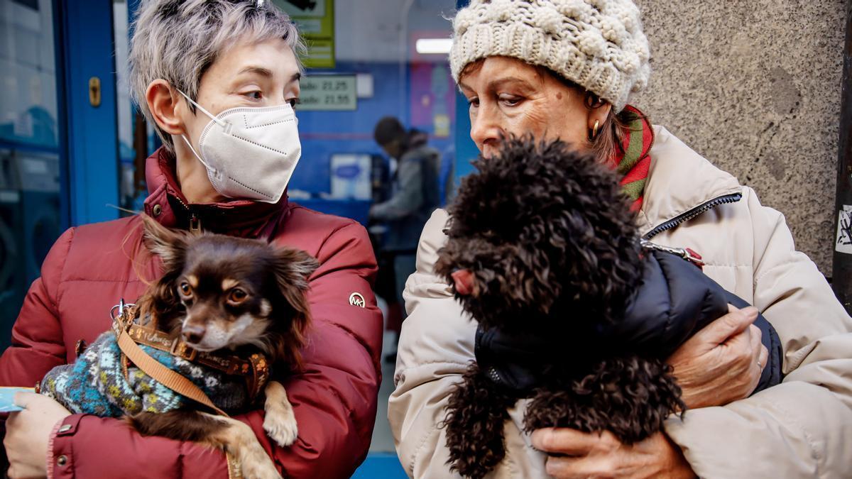 Los animales de compañía estarán más protegidos ante el maltrato tras la aprobación de la ley estatal.