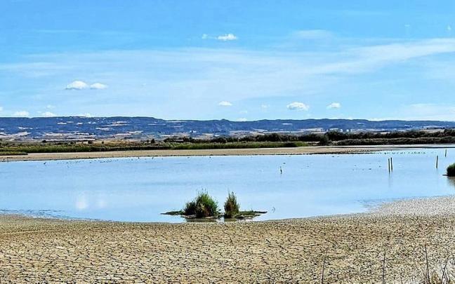El estado de la Laguna Dos Reinos de Figarol a causa de la sequía. | FOTO: CEDIDA El estado de la Laguna Dos Reinos de Figarol a causa de la sequía. | FOTO: CEDIDA