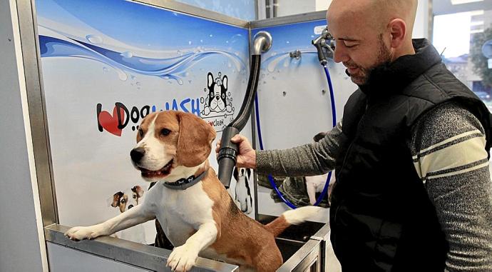 Jorge Ezquerra lavando a su ‘beagle’ en las instalaciones de I Love Dog Wash en la avenida 8 de Marzo de Salburua. Foto: Pilar Barco