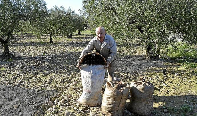 Trabajo en el campo.