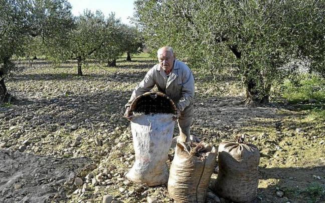 Trabajo en el campo.
