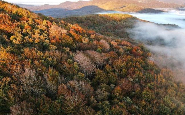 Nuevo calendario de Fundaci&oacute;n Vital