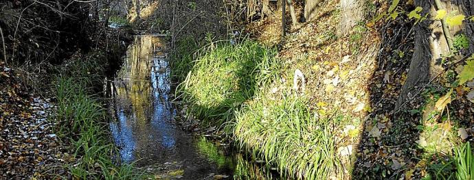 Tramo del río Batán a su paso por el sur de la ciudad. Foto: DNA