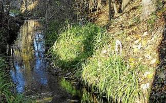 Tramo del río Batán a su paso por el sur de la ciudad. Foto: DNA Tramo del río Batán a su paso por el sur de la ciudad. Foto: DNA