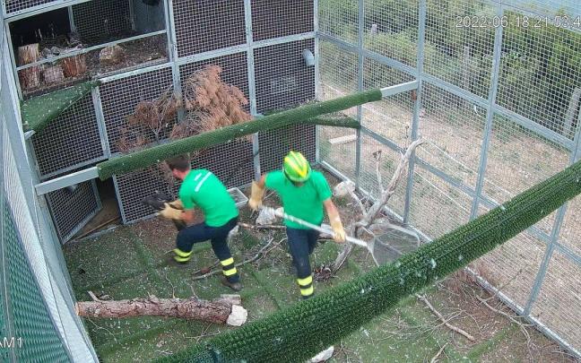 Guardas de Medio Ambiente