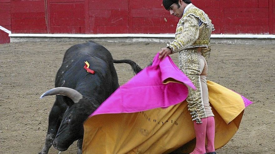 Francisco Javier Expósito, de novillero en Estella, será el 15º diestro navarro de alternativa.