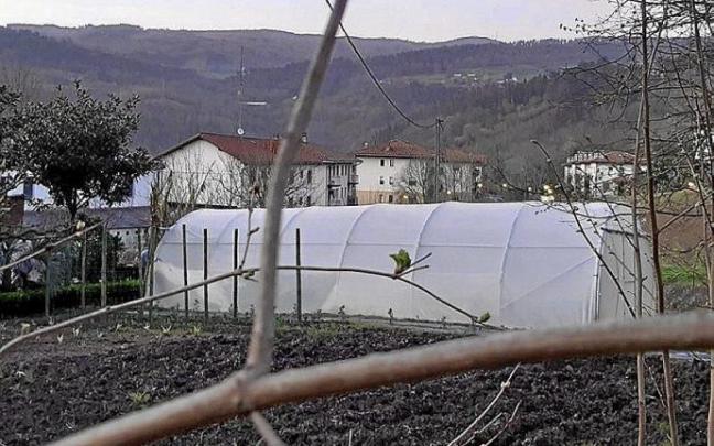 Elutx eremua, bidea eraikiko den gunea. Argazkia: N.G.