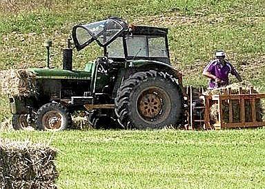 Cargando paja. Foto: J.C.