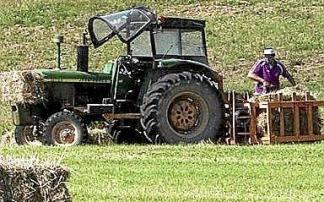 Cargando paja. Foto: J.C.