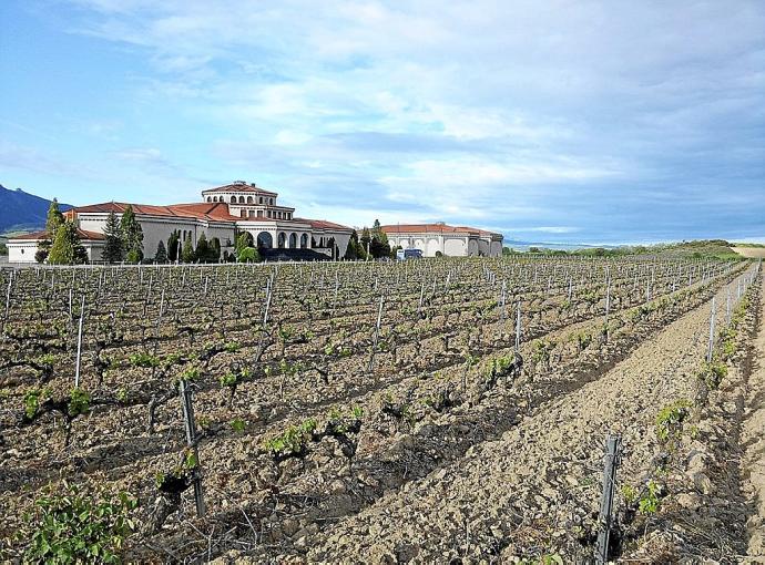 Una bodega de la Rioja Alavesa y sus viñedos. Foto: Pablo José Pérez