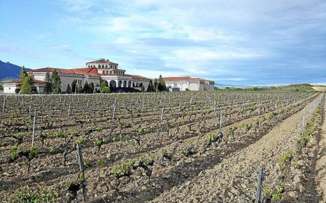 Una bodega de la Rioja Alavesa y sus viñedos. Foto: Pablo José Pérez Una bodega de la Rioja Alavesa y sus viñedos. Foto: Pablo José Pérez