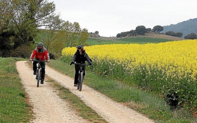 Dos ciclistas transitan por una de las alternativas de rutas verdes de Araba.