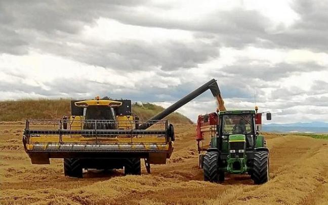 Una cosechadora y un tractor trabajan en un campo de cereal .