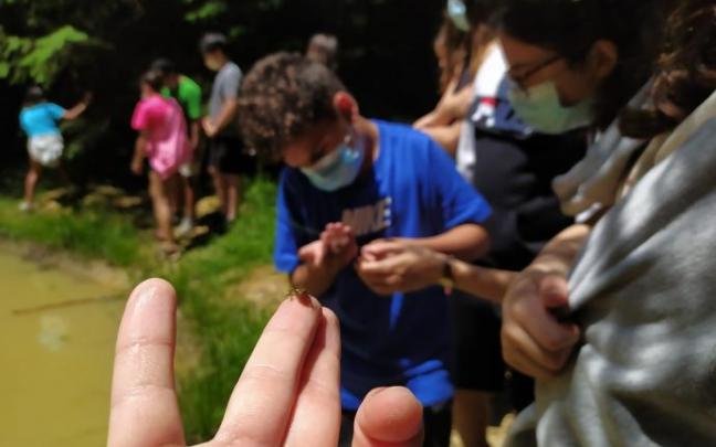 Refugio de anfibios.