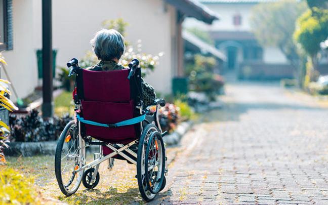 El estudio arroja luz sobre posibles tratamientos para frenar el envejecimiento cerebral. El estudio arroja luz sobre posibles tratamientos para frenar el envejecimiento cerebral.
