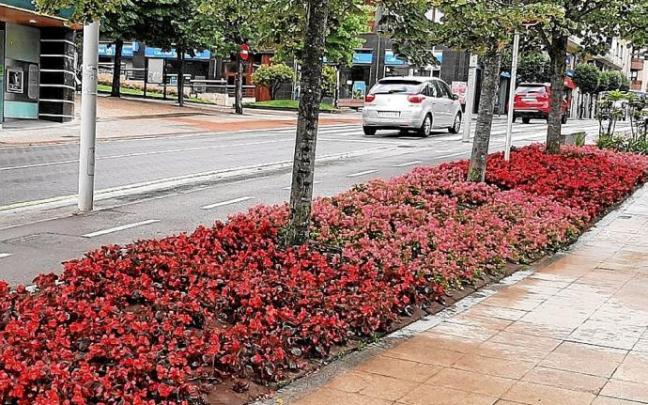 Jardines en Juan de Urrutia.