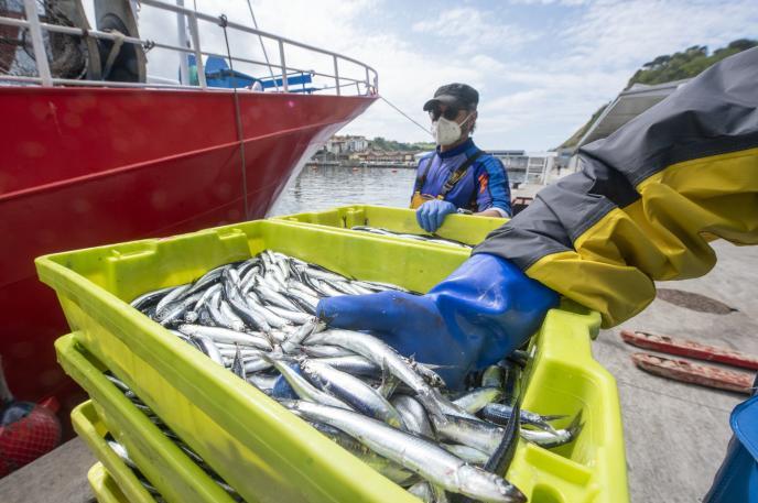 La UE logra un acuerdo sobre el reparto de las cuotas pesqueras para 2022
