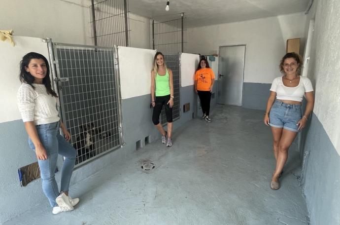 Amaia Lusarreta (izda), Cristina Mendívil, Ana San José y Paola Armendáriz, integrantes de Anifal, posan en el refugio para animales que han acondicionado.