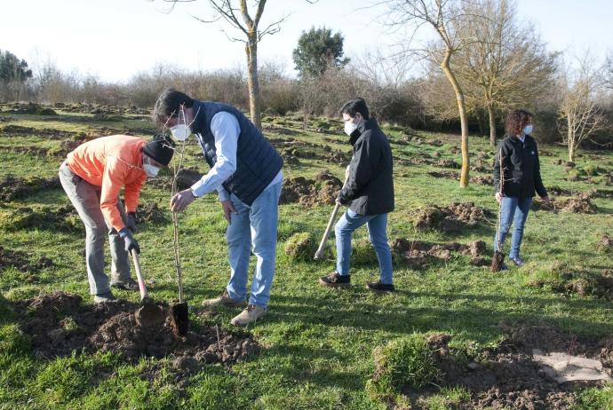 Plantación de árboles en el bosque de Zabalgana, parte del Anillo Verde.