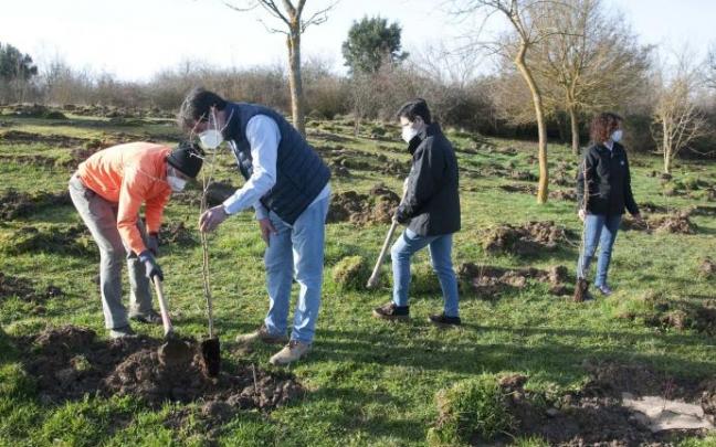 Plantación de árboles en el bosque de Zabalgana, parte del Anillo Verde.