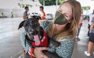 Una mujer sostiene a su perro Una mujer sostiene a su perro