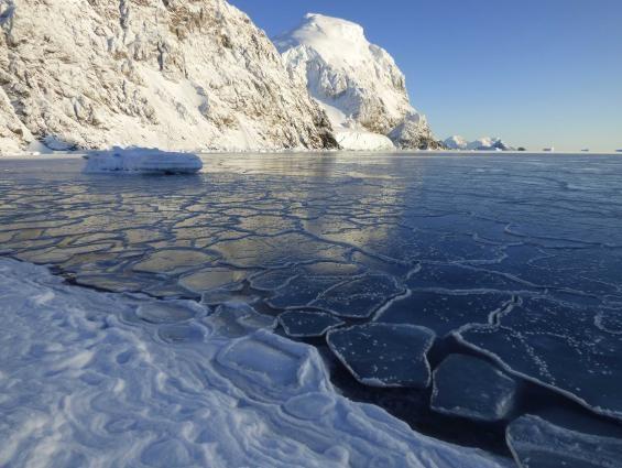 La temperatura media en la península antártica ha aumentado 3 grados en los últimos 50 años.