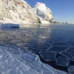 La temperatura media en la península antártica ha aumentado 3 grados en los últimos 50 años. La temperatura media en la península antártica ha aumentado 3 grados en los últimos 50 años.