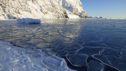 La temperatura media en la península antártica ha aumentado 3 grados en los últimos 50 años.