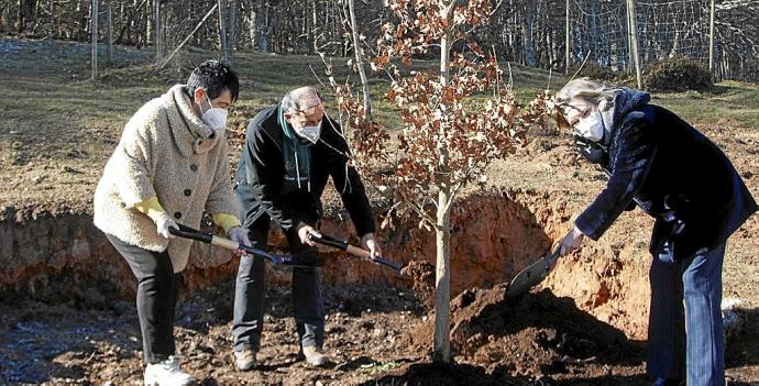 El Árbol de Gernika llega a Santa Teodosia