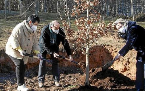 El Árbol de Gernika llega a Santa Teodosia