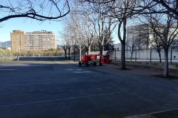 Imagen captada el viernes pasado, con los trabajos de podado de los árboles del patio del colegio de Ermitagaña.