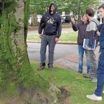 Técnicos municipales inspeccionan uno de los árboles singulares plantado en el parque de Doña Casilda. Técnicos municipales inspeccionan uno de los árboles singulares plantado en el parque de Doña Casilda.