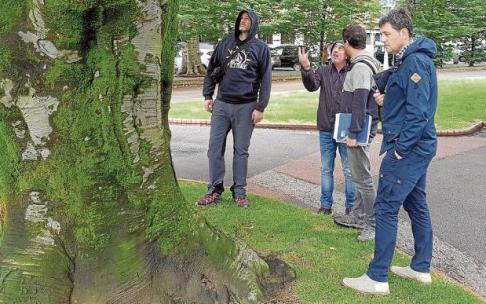 Técnicos municipales inspeccionan uno de los árboles singulares plantado en el parque de Doña Casilda.