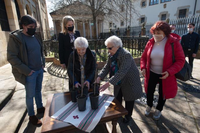 Acto de entrega de los cinco retoños para ser plantados en Rusia qeu tuvo lugar el pasado martes frente al actual Árbol de Gernika.