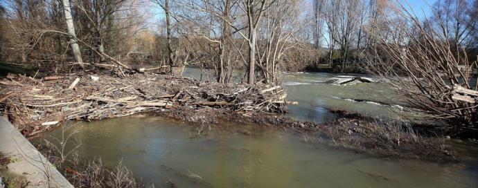 Estado que presentan las riberas del río Arga en Pamplona.