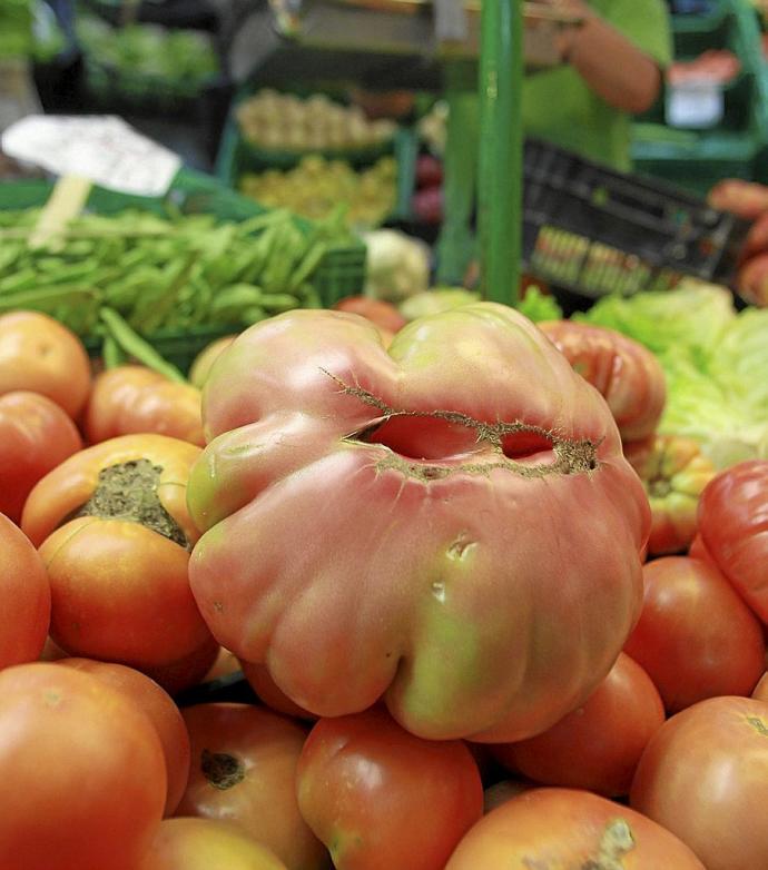 Tomates en una tienda de alimentación. Foto: Javier Bergasa