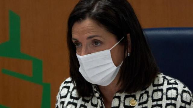 Beatriz Artolazabal, consejera de Igualdad, Justicia y Políticas Sociales