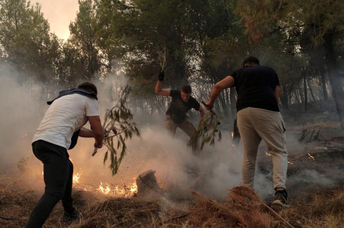 Varios jóvenes usan ramas de árboles mientras luchan contra un incendio en el área de Tatoi, cerca de Atenas.
