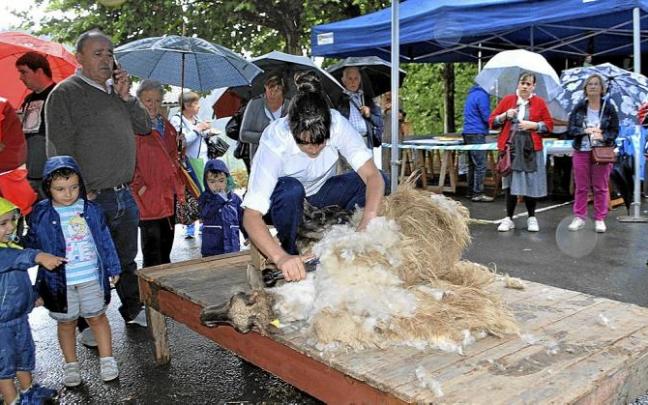 La ganadera ayalesa Ainara Gotxi durante una demostración de esquileo tradicional.