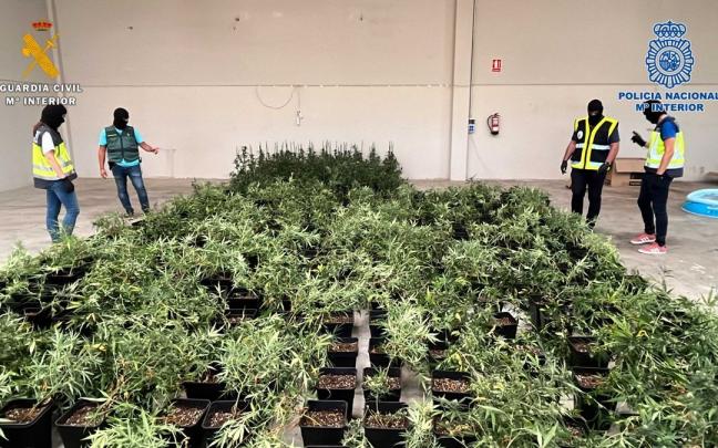 Registro de una nave en Oion con plantas de marihuana en su interior