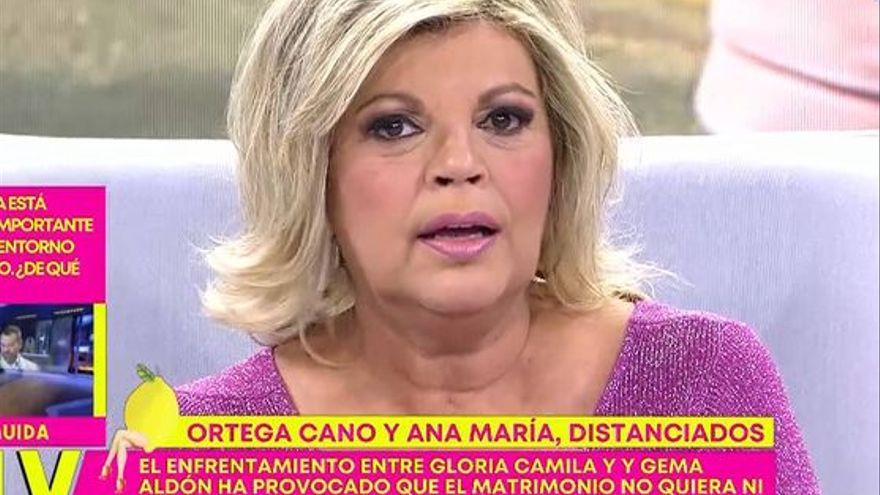 Terelu Campos se ha tomado muy mal la noticia de la ruptura de la pareja.