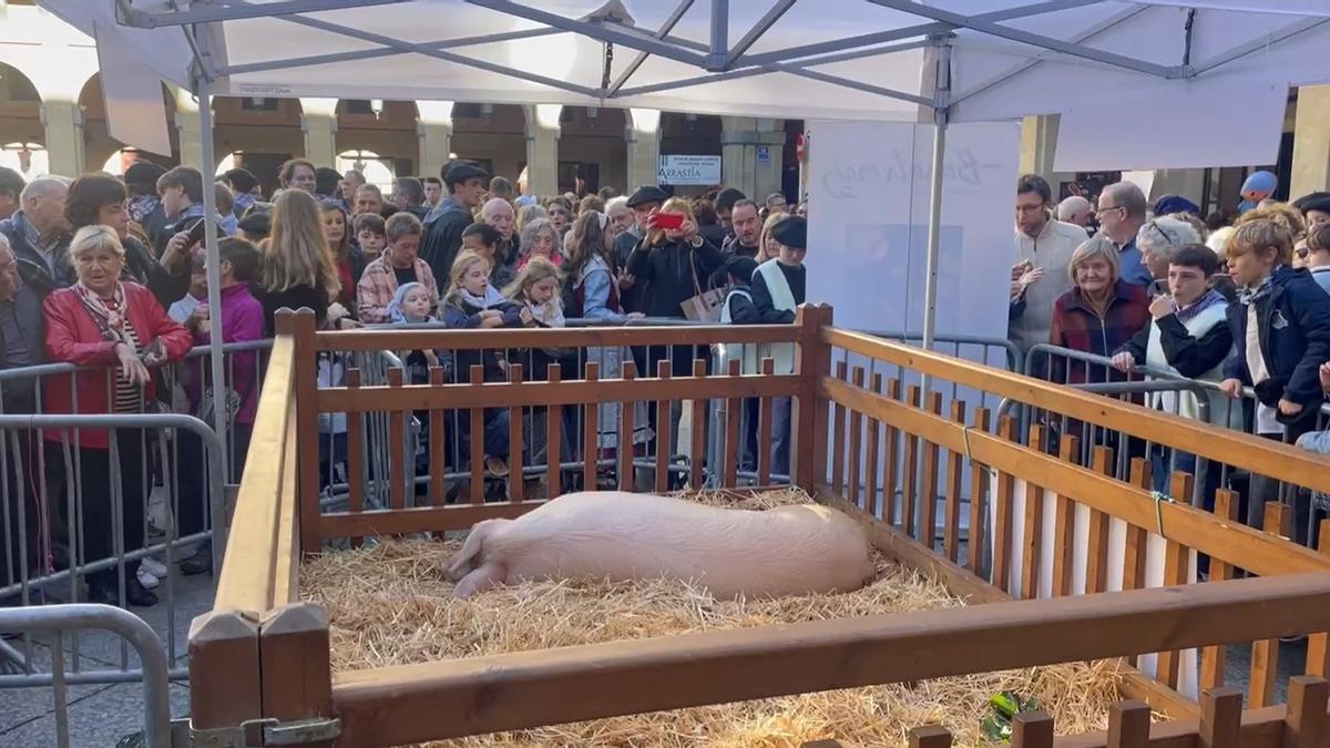 Feria de Santo Tomas en Donostia