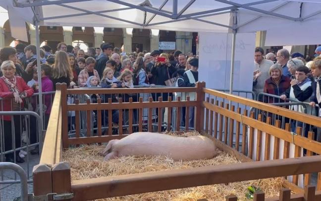 Feria de Santo Tomas en Donostia