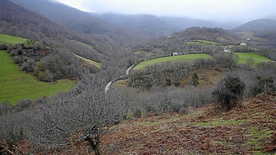 Paisaje del Valle de Baztan, un ejemplo de biodiversidad.