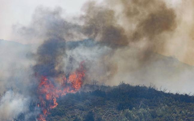Incendio de Bejís. Incendio de Bejís.