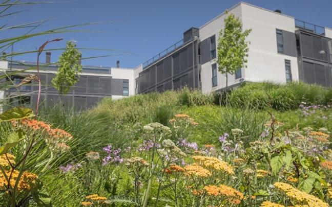 Viviendas ya existentes en la zona de Illarra.
