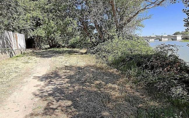 Parte trasera de las instalaciones de Ribotas y las zarzas donde cay&oacute; el detenido. | FOTO: F. P-N.
