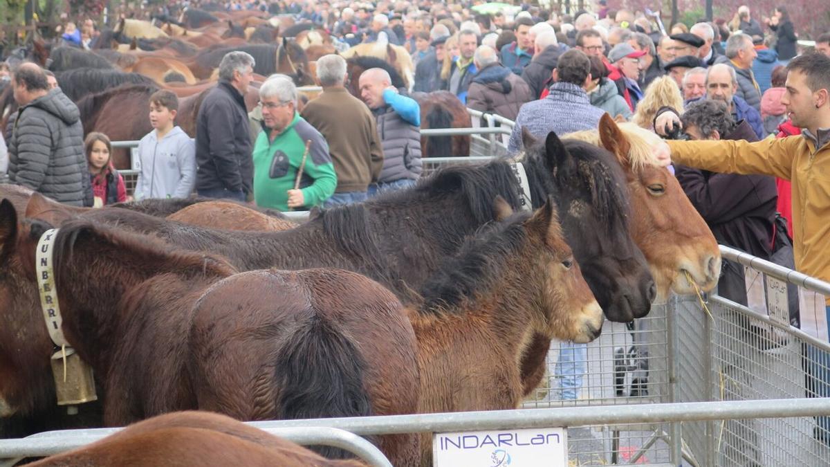 Gran ambiente en la feria de Santa Lucía en Urretxu y Zumarraga